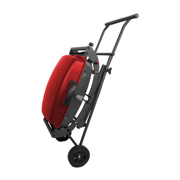 Portable BBQ Grill